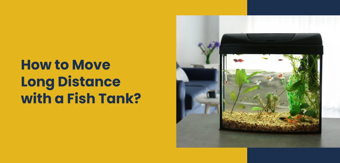 how do you move a fish tank, moving a fish tank, how to move with an aquarium