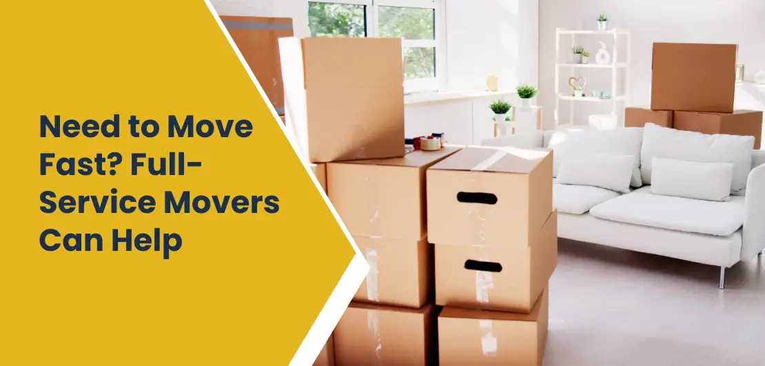 Studio City Movers